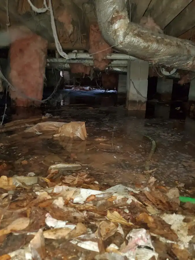 Crawl space flood assessment for Commercial Water Damage Restoration in Highland Lakes